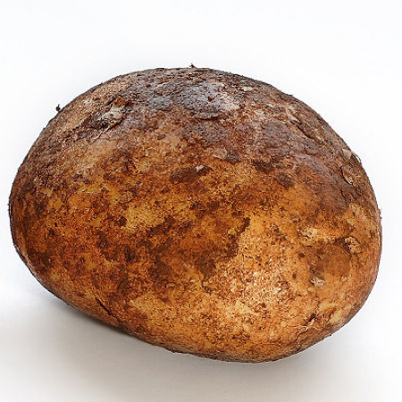 Potato Pests & Diseases hero image